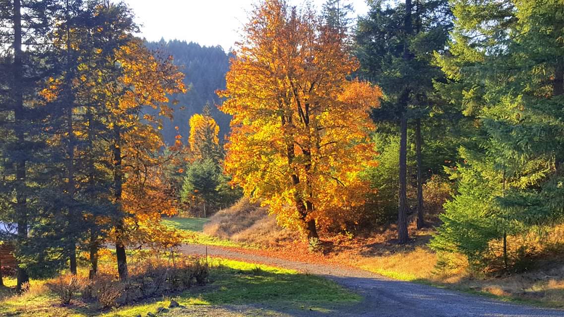 Nick Hooyman and family